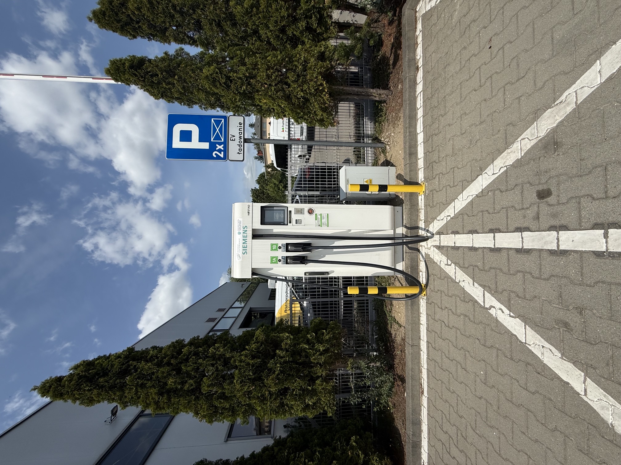 Autoidea główne tło